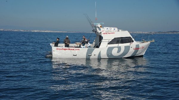 Fishing trip departing from Albufeira Marina