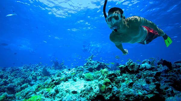persona buceando con snorkel