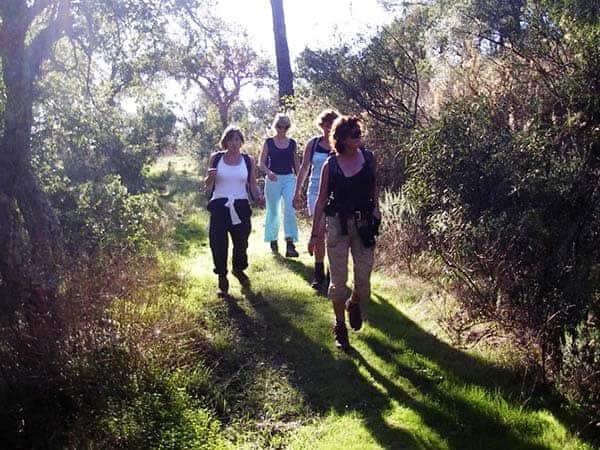 Group of 4 walking in Monchique