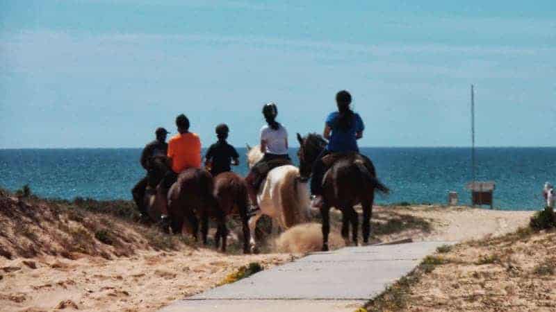Group of people horse riding on the beach