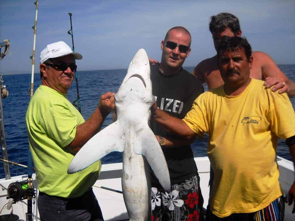 grupo sosteniendo un tiburón en tour de pesca