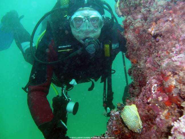 men Scuba Diving near Albufeira