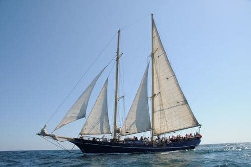 Fantastic Sailing boat Vital