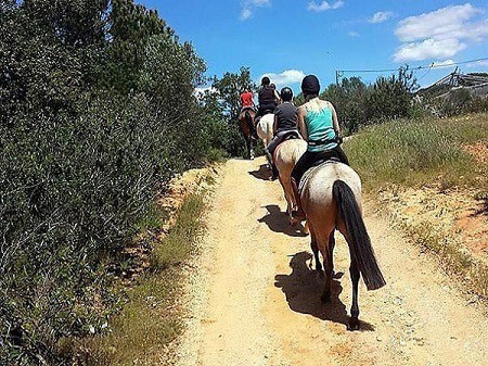 Group riding through the countryside