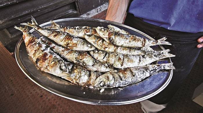 Sardines