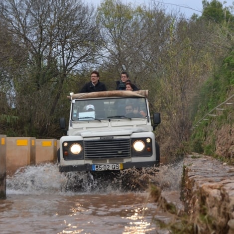 Jeep Safari 1