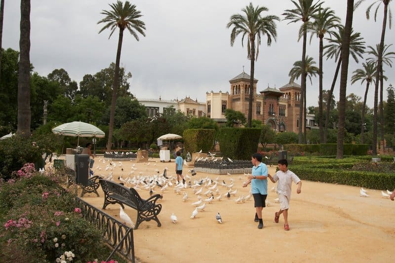 kids and piegeons on Maria Luisa Parque Seville